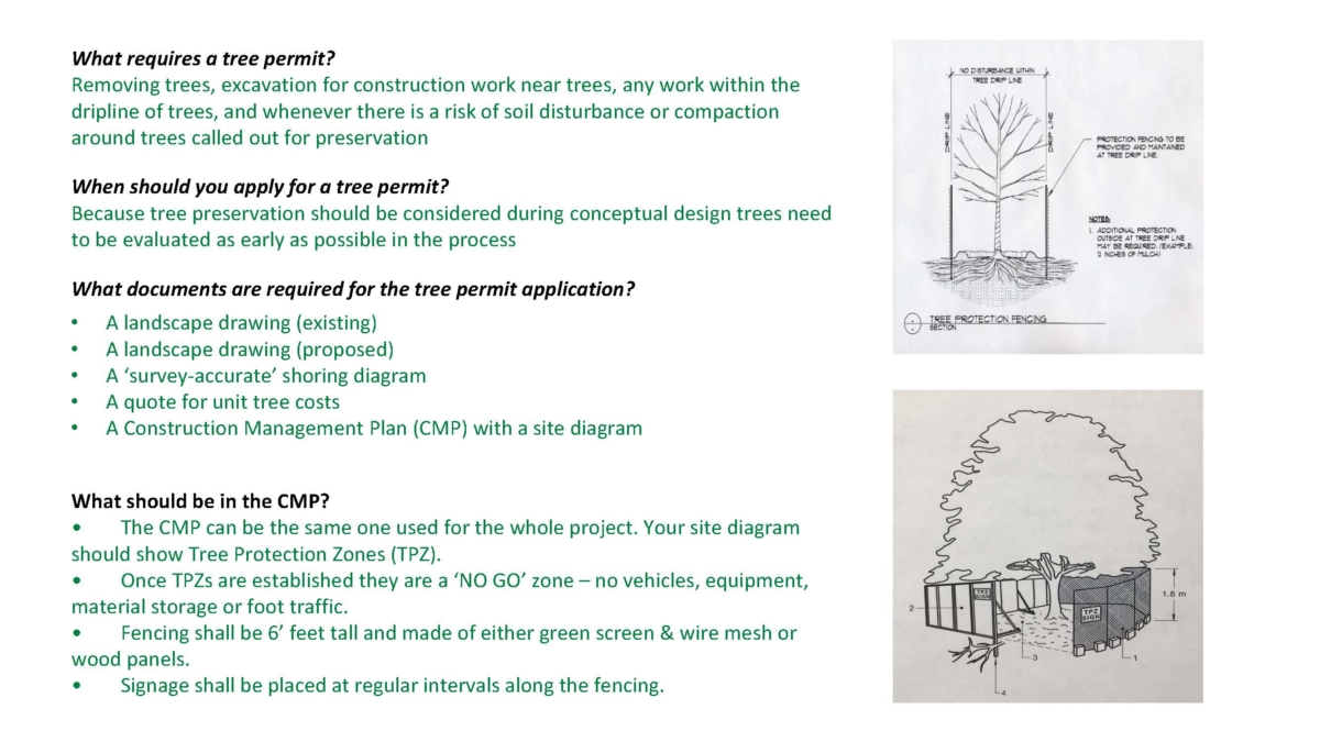 Tree Permit City of Aspen Engineering
